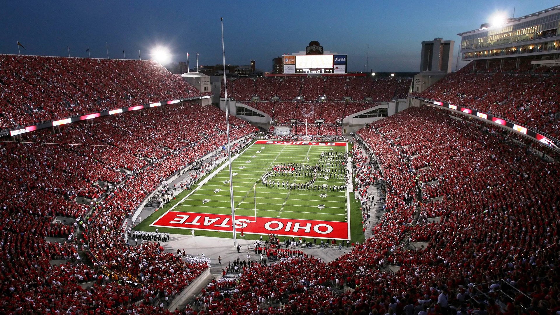 _菜园运动会：乡村振兴中的健康娱乐_，乡村振兴小菜园